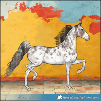 Horse Color:Liver Chestnut Sabino