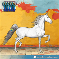 Horse Color:Liver Chestnut Sabino 