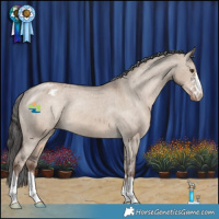 Horse Color:Liver Red Dun Varnish 