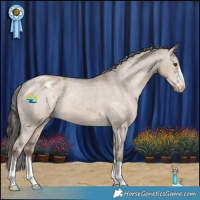 Horse Color:Liver Red Dun Appaloosa