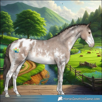 Horse Color:Liver Red Dun Sabino Appaloosa Brindle 