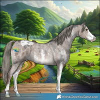 Horse Color:Liver Red Dun Mushroom Sabino Appaloosa Brindle