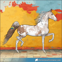 Horse Color:White Spotted Black Pearl Sabino 