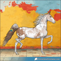 Horse Color:White Spotted Black Pearl Sabino 