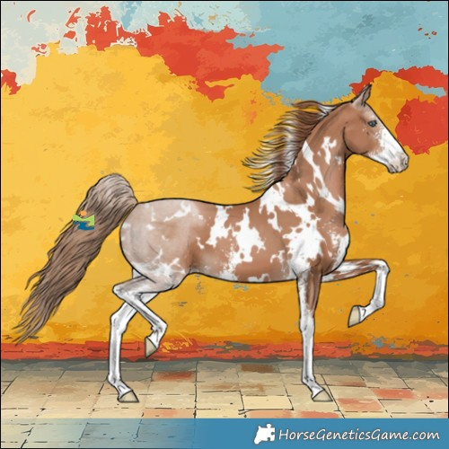 Horse Color:White Spotted Black Pearl Sabino 