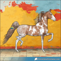 Horse Color:White Spotted Black Pearl Sabino 