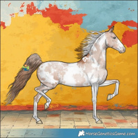 Horse Color:White Spotted Brown Pearl Sabino 