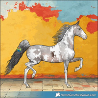 Horse Color:White Spotted Brown Sabino