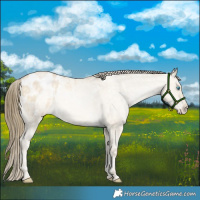 Horse Color:White Spotted Bay Snowdrop Pearl Dun Appaloosa Rabicano 