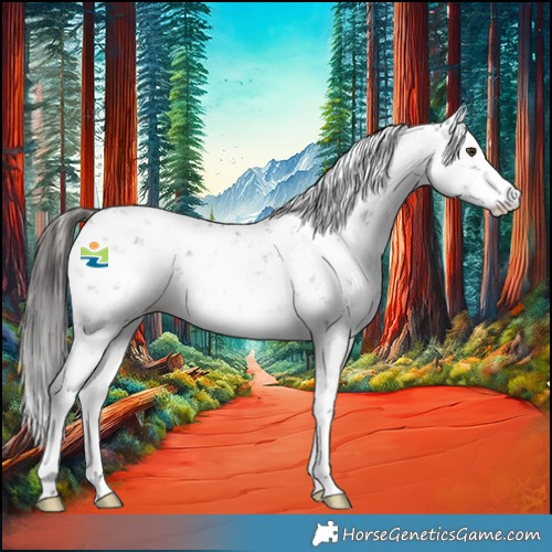 Horse Color:Liver Chestnut Sabino 