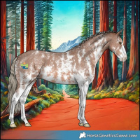 Horse Color:Chestnut Mushroom Sabino Appaloosa