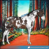 Horse Color:White Spotted Brown Sabino