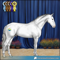 Horse Color:Liver Chestnut Mushroom Sabino