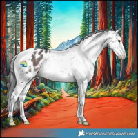Horse Color:White Spotted Brown Mushroom Sabino Appaloosa 