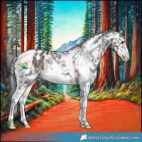 Horse Color:White Spotted Brown Mushroom Sabino Snowflake Varnish 