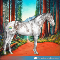 Horse Color:White Spotted Brown Mushroom Sabino Appaloosa