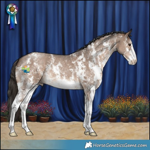Horse Color:Liver Red Dun Sabino 