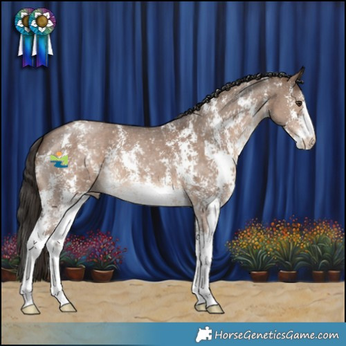 Horse Color:Liver Red Dun Sabino 