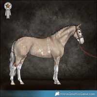 Horse Color:White Spotted Silver Brown Dun Splash and Liver Red Dun Splash
