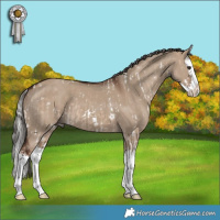 Horse Color:White Spotted Silver Brown Dun Splash  and Liver Red Dun Splash 
