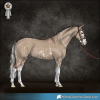 Horse Color:White Spotted Silver Brown Dun Splash  and Liver Red Dun Splash 