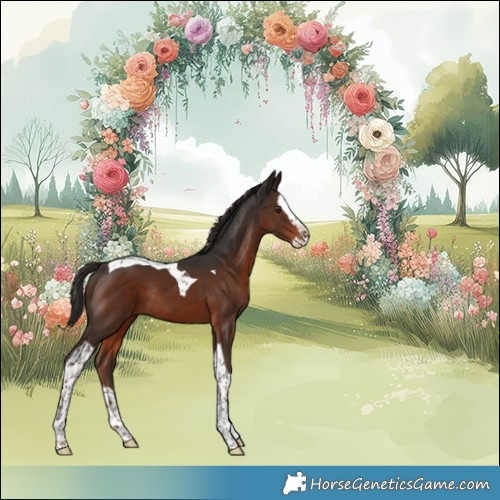 Horse Color:Liver Chestnut Splash Tobiano Rabicano 