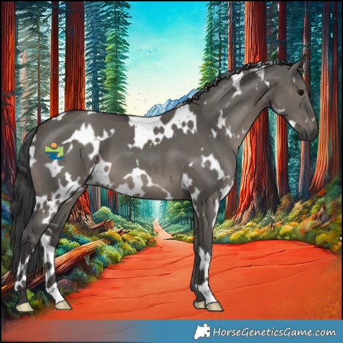 Horse Color:White Spotted Grullo 