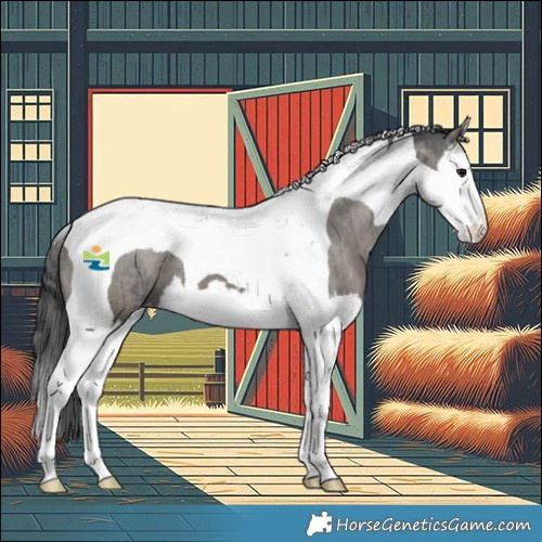 Horse Color:Grullo Splash Tobiano Appaloosa Brindle 