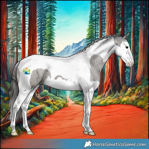 Horse Color:Grullo Splash Tobiano Varnish Brindle 