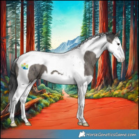 Horse Color:Grullo Splash Tobiano Appaloosa Brindle