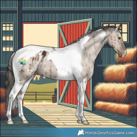 Horse Color:Liver Red Dun Tobiano Appaloosa Brindle 
