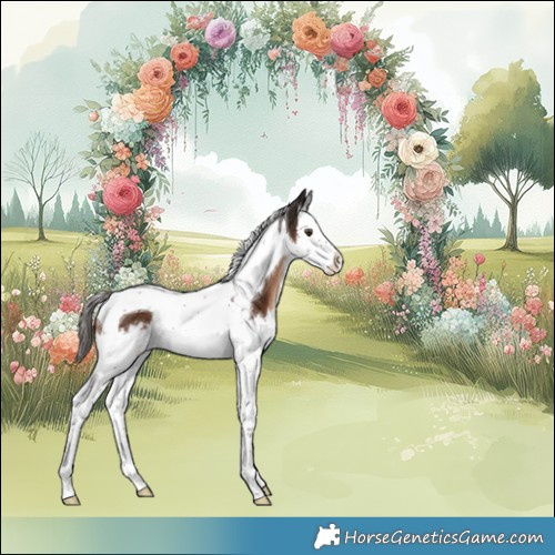 Horse Color:Liver Chestnut Splash Tobiano 