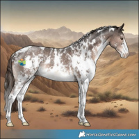 Horse Color:White Spotted Liver Chestnut Sabino 