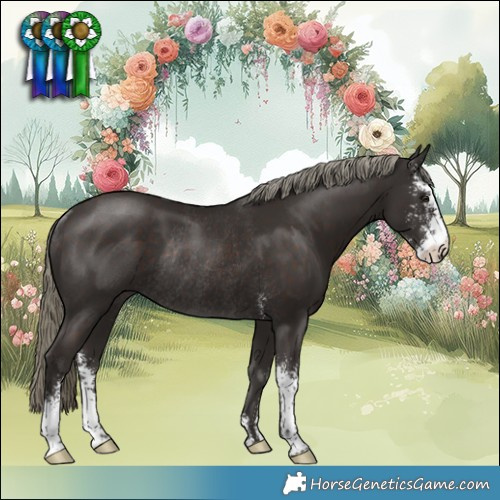 Horse Color:Liver Chestnut Mushroom Sabino Rabicano 