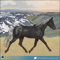 Horse Color:Liver Chestnut Mushroom 