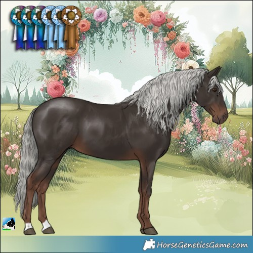 Horse Color:Liver Chestnut Mushroom 