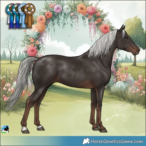 Horse Color:Liver Chestnut Mushroom 