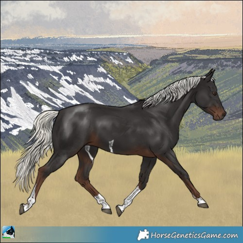 Horse Color:Liver Chestnut Mushroom Tobiano