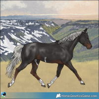 Horse Color:Liver Chestnut Mushroom Tobiano 