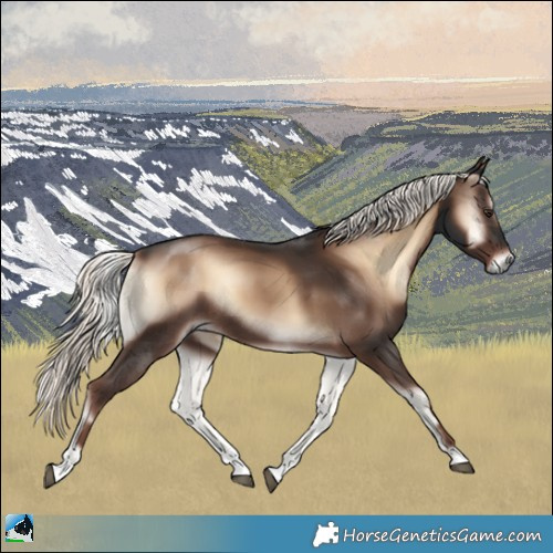 Horse Color:Liver Red Onyx Mushroom Rabicano