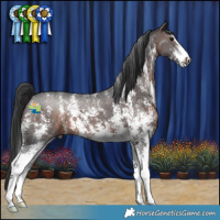 Horse Color:Brown Sabino 