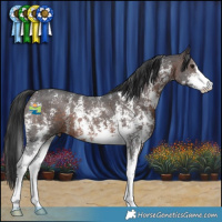 Horse Color:Brown Sabino