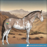 Horse Color:Liver Red Dun Sabino 