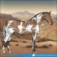 Horse Color:White Spotted Liver Red Dun 