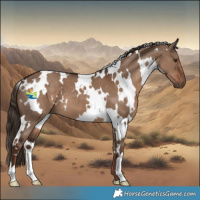 Horse Color:White Spotted Liver Red Dun 