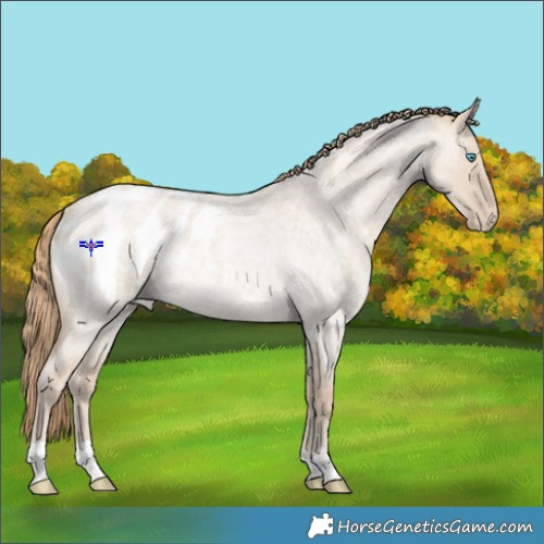 Horse Color:Perlino Roan Dun Appaloosa Rabicano 