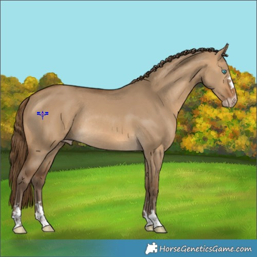 Horse Color:Gray Perlino Dun Rabicano 