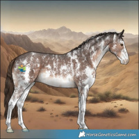 Horse Color:Liver Chestnut Sabino 