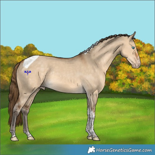 Horse Color:Gray Perlino Dun Tobiano Varnish Rabicano 