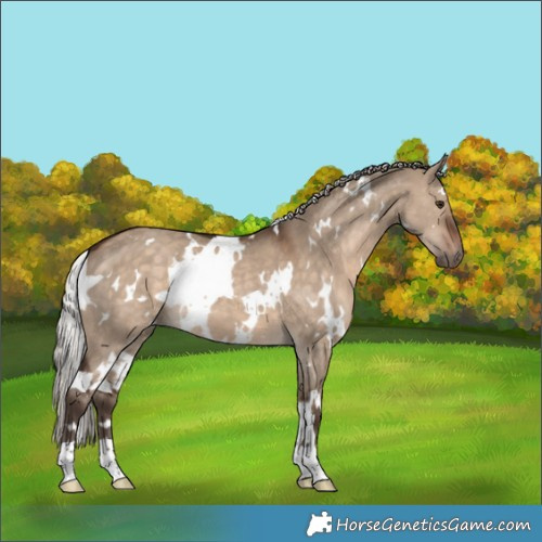 Horse Color:White Spotted Silver Brown Dun 